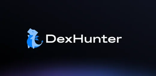 DexHunter: Understanding the Stake Address Issue and Resolution